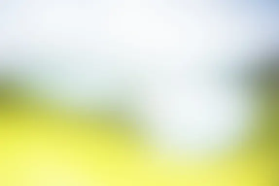 PocketWin Casino Ënnerstëtzung